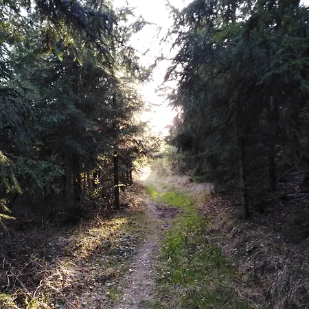 Pod Kaplickou * Rajnochovice